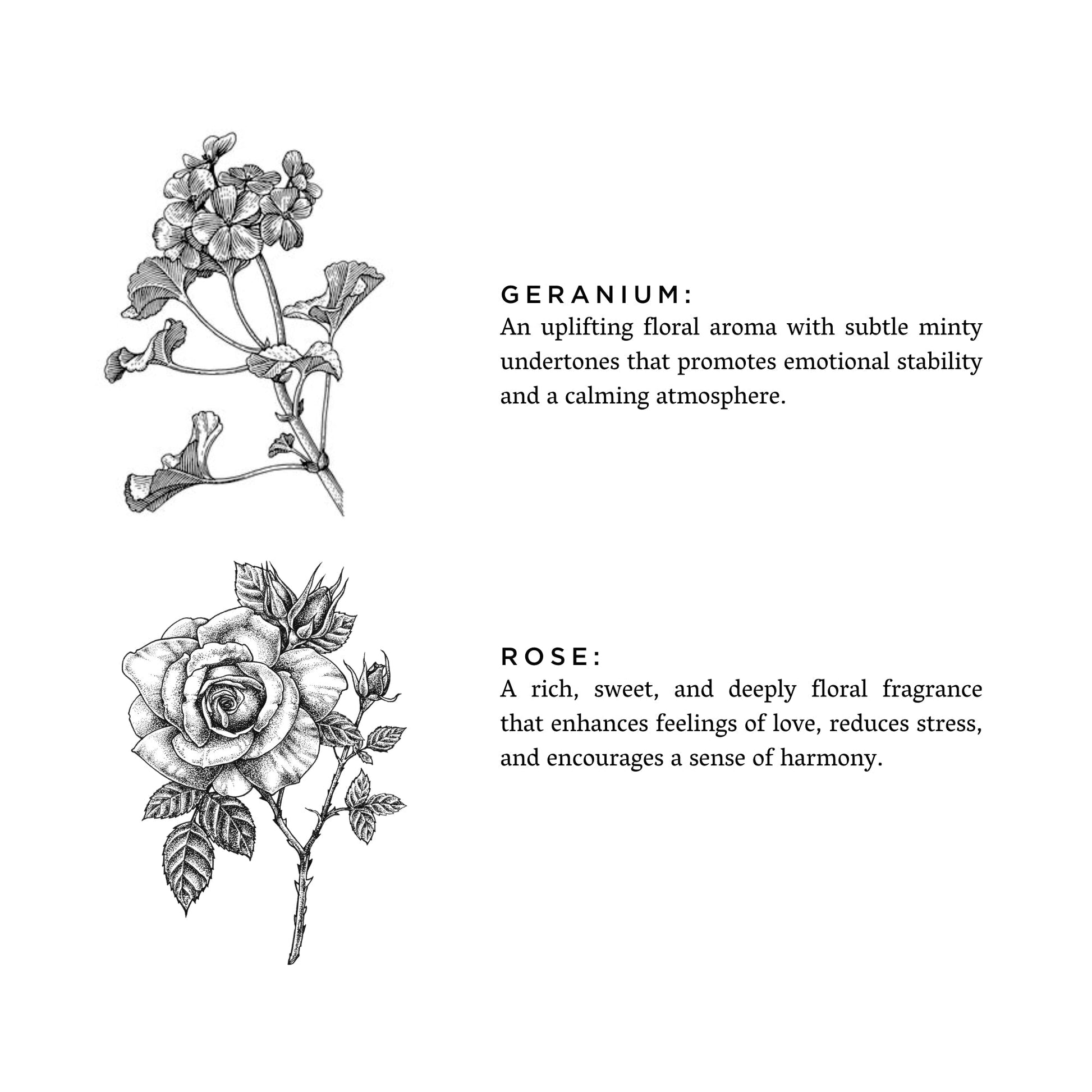 Geranium + Rose - Inspiredbynikajayy